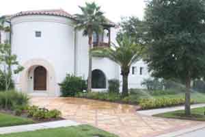 Landscape in winter park florida with palms