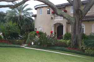 Landscaping project in Winter Park Florida with christmas decorations